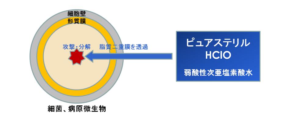 ピュアステリルの殺菌メカニズム